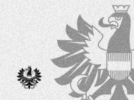 bundesadler republik österreich illustration grafik design